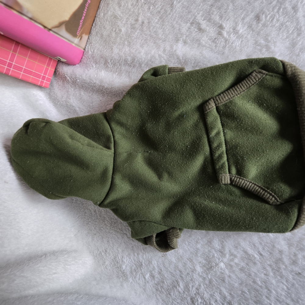 PET Green Hoodie Accessory